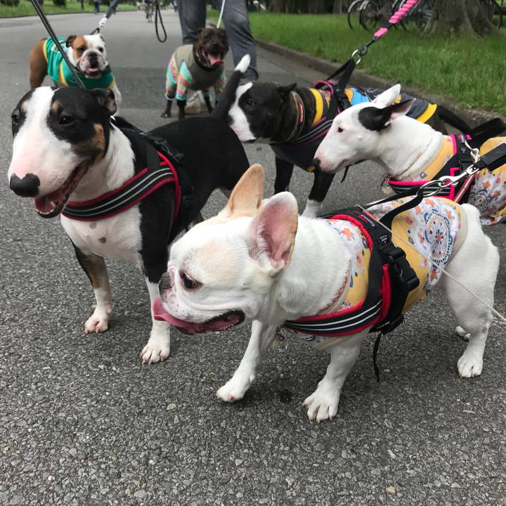 57202d17 0202 4571 90a8 b1fa704ae650 1529388522169