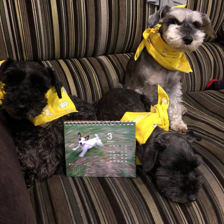 57204261 e3fe 4dfb 8dfc e0eea51dad29 1521638637291