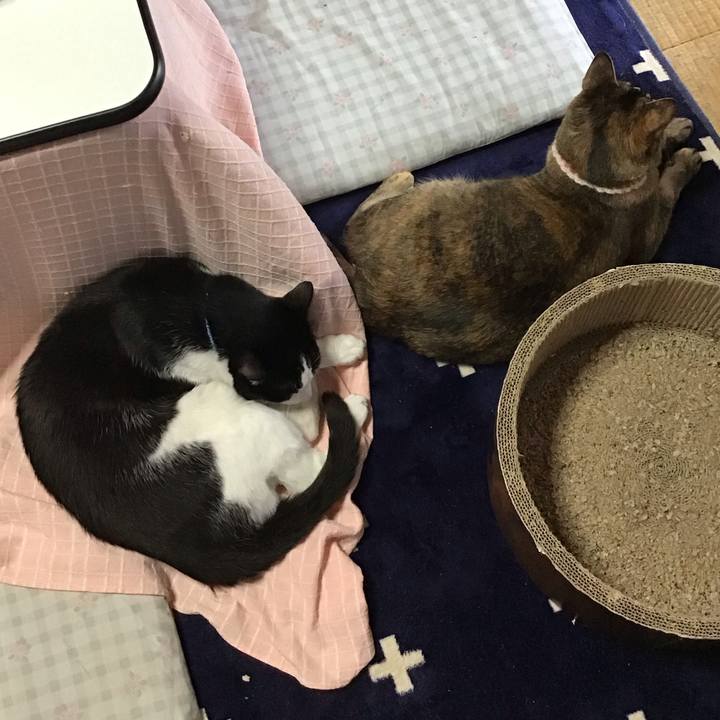 572053ec da1e 4f4b b9a1 65eef3120bdd 1715225560789