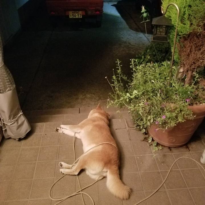 57205c1e 9c87 4d6d 8772 8568a5a7e9aa 1569681183679