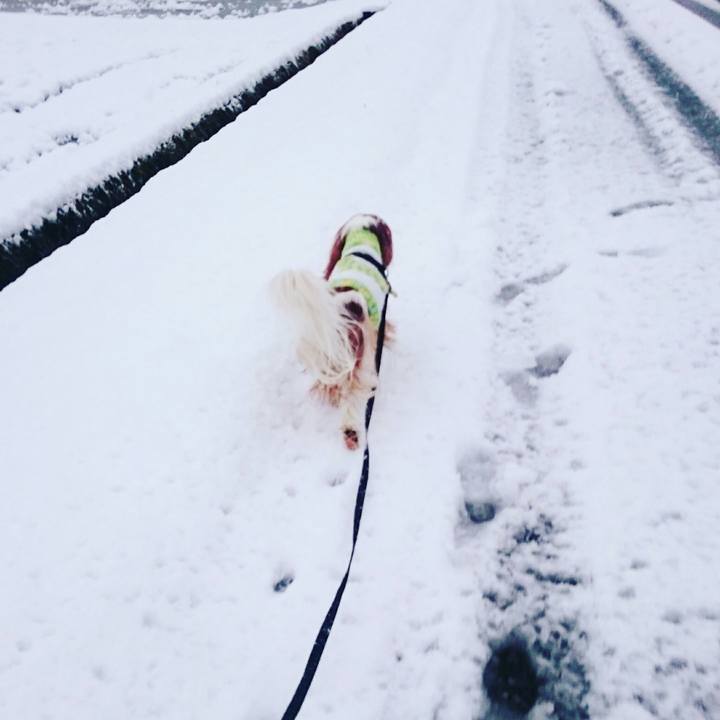 5720606e 054e 449d 9020 412c75f659a1 1511131710748