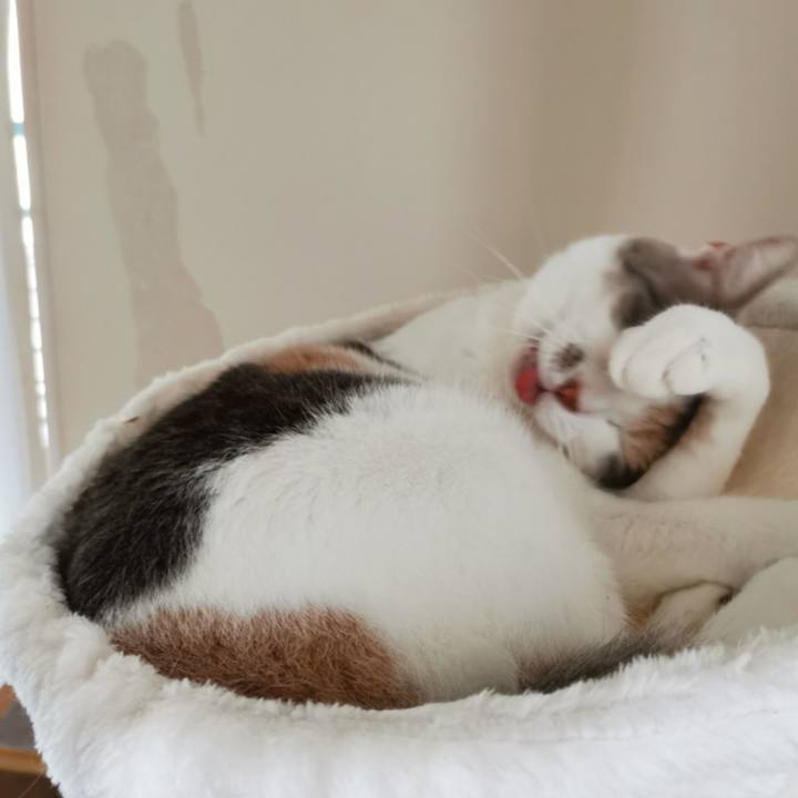 57207c15 c462 473a a959 2957724a9ab9 1629964015453