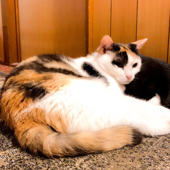 5720a0b2 af94 4829 a64b f0551c14614d 1564968325790