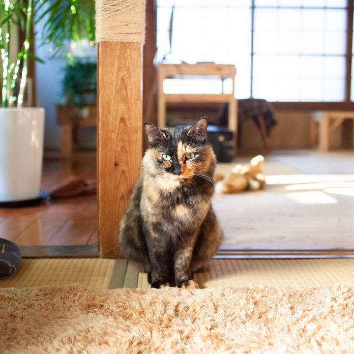 5720bc14 45d2 402d 8c73 18b3035af426 1580894305440