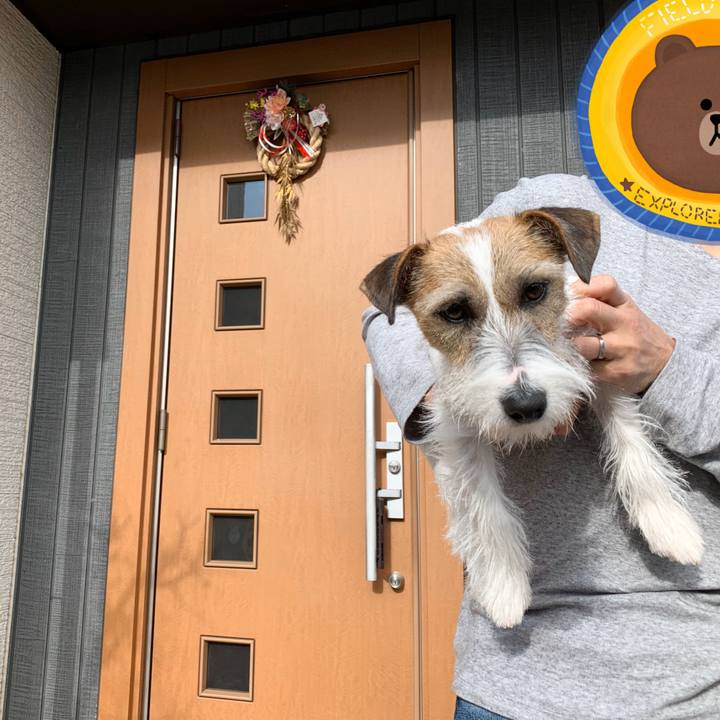 5720dcf8 07d4 420d b47b 89d29092691d 1578136577916