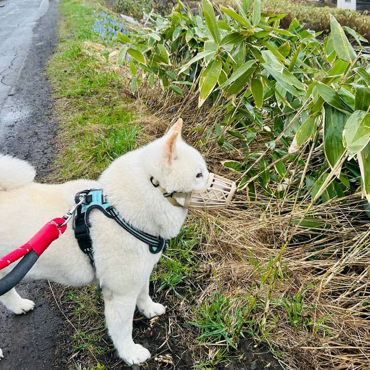 57212a64 8441 4814 bab5 03e5859b63b2 1745360854032