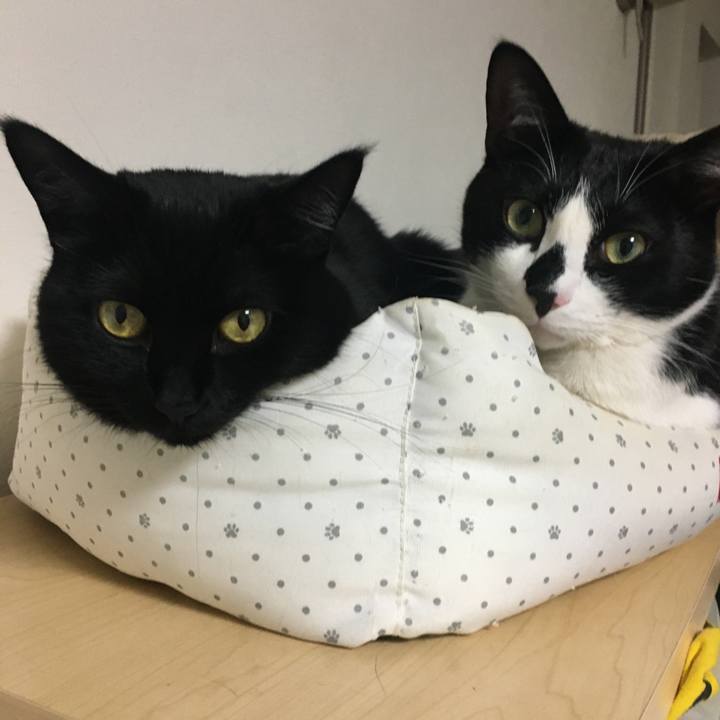 57217bf9 098a 4865 8181 21a3c4c230da 1589098458951