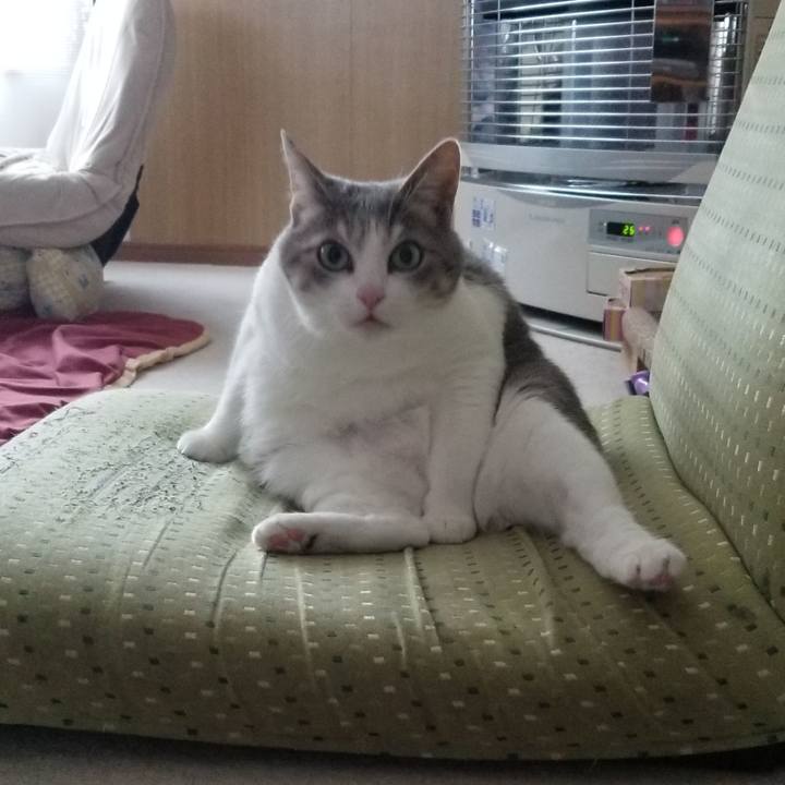 5721854d a08e 4e1f 81df 10a5e2a0e657 1645410530367