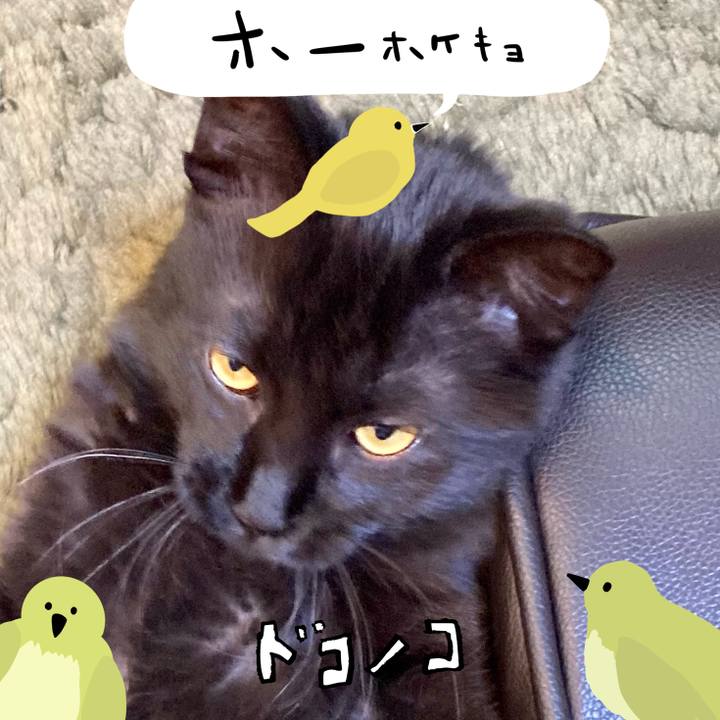 572191c8 f443 4ae2 8d55 d9323ce7bed4 1711350671326