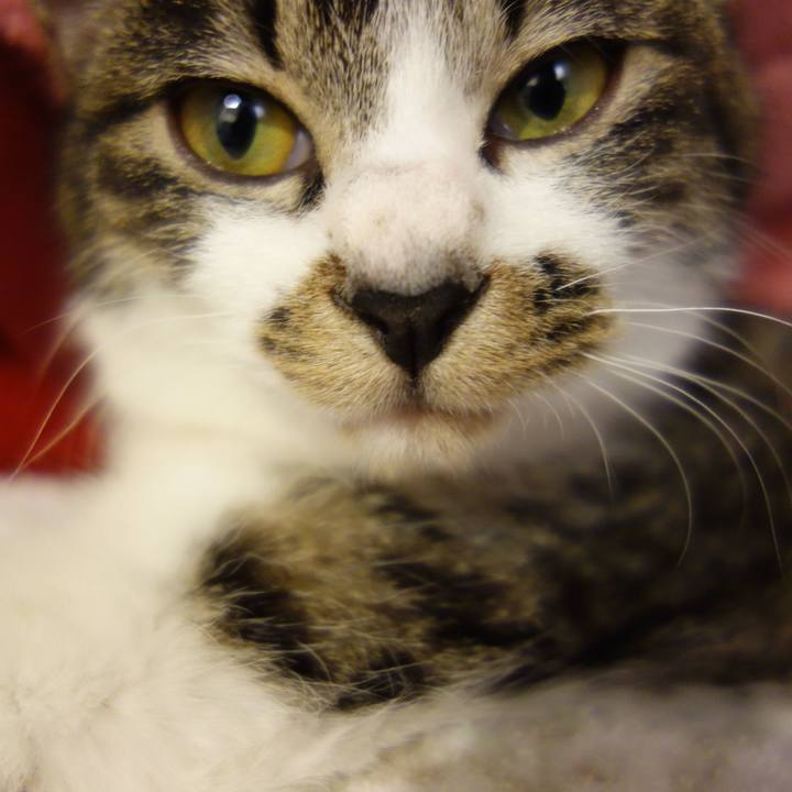 5721a74f 2d72 4217 a003 0cab7d0d8928 1758864560201