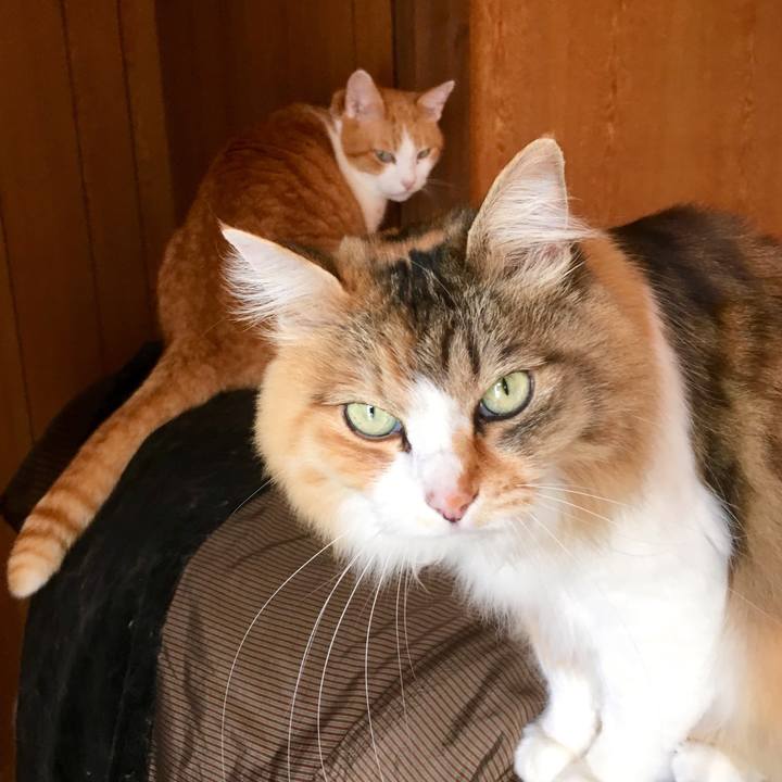 5721f9e2 3ca7 4641 aea2 99ca1b8b0c02 1556229178059