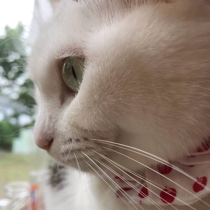 57220dea 8796 4b1c 9ad8 efa1a669df0e 1565395062198