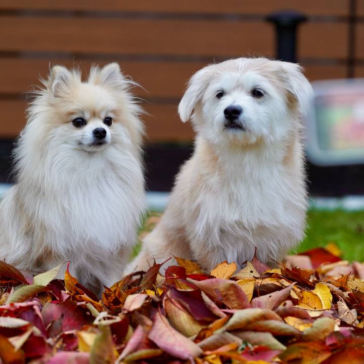 57222ae6 04b4 4aae 8c46 aa64970881a8 1763119358854