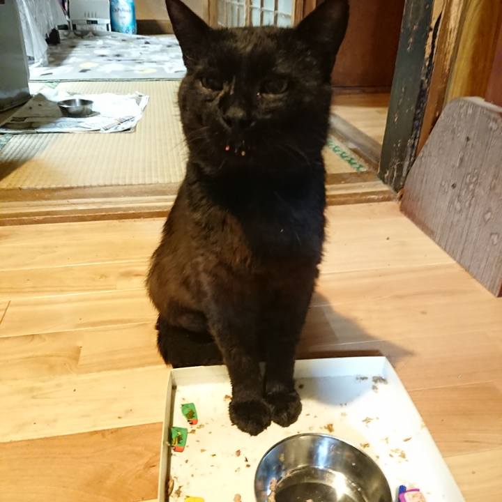 57228aa7 fede 4699 8c83 060e9006cbe8 1624459963602