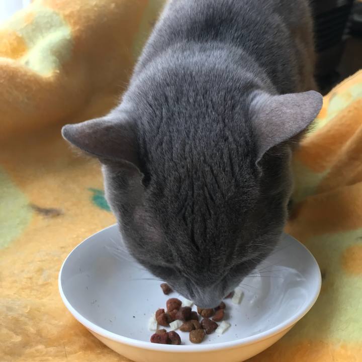 5722d604 ddbd 444b 8457 7c9c5d91ce51 1523244023944