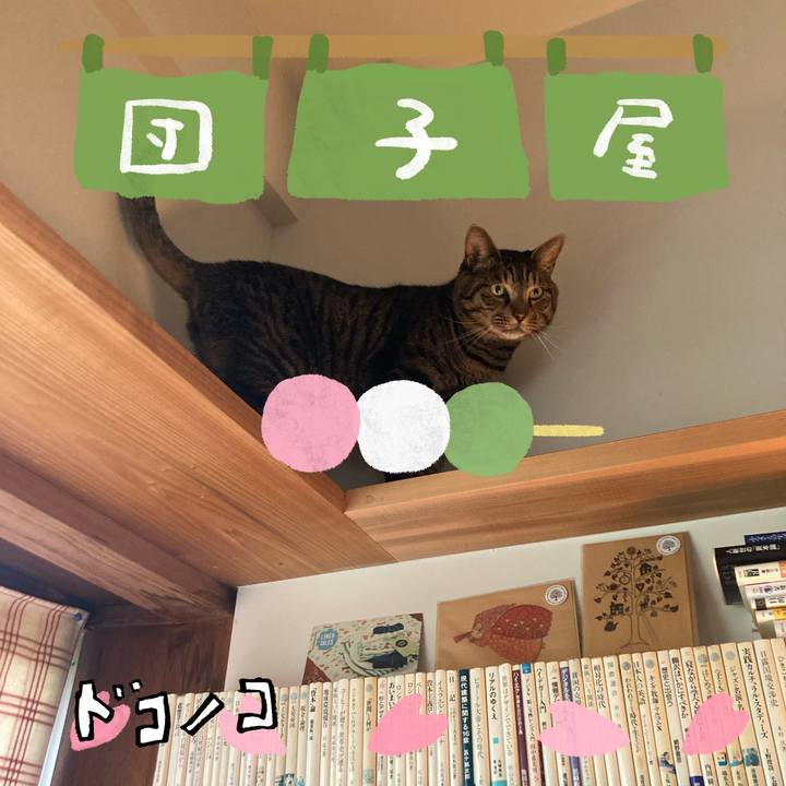 5722e3a8 a20f 4598 b698 1b7df74a4082 1712236612857