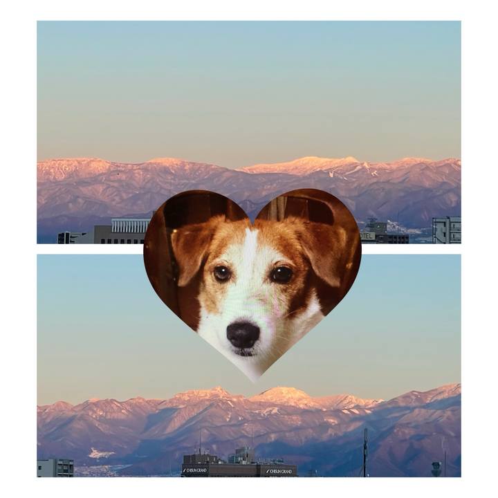 57236ca1 ae08 4839 8b46 5f4dff7017fa 1737014400854