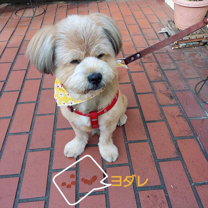 57236eee c8f5 4fb7 af8a 2def70e55ab0 1621990853627