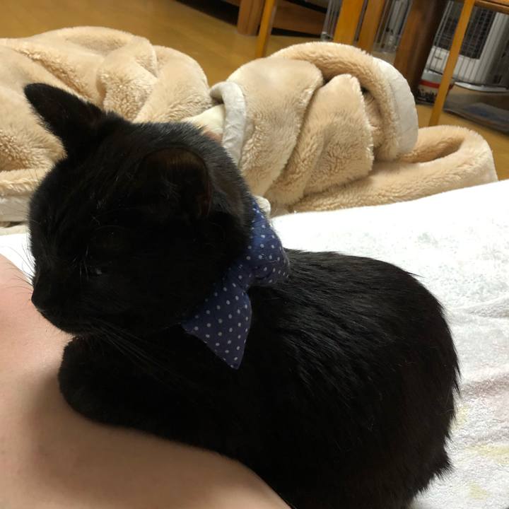 57238591 1f09 4a65 8222 56168f15cd06 1554902570346