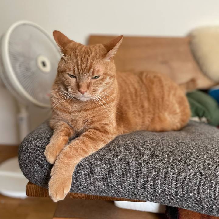 572392e7 a645 4e8a 8494 4ecb5eaa4c82 1690065118381