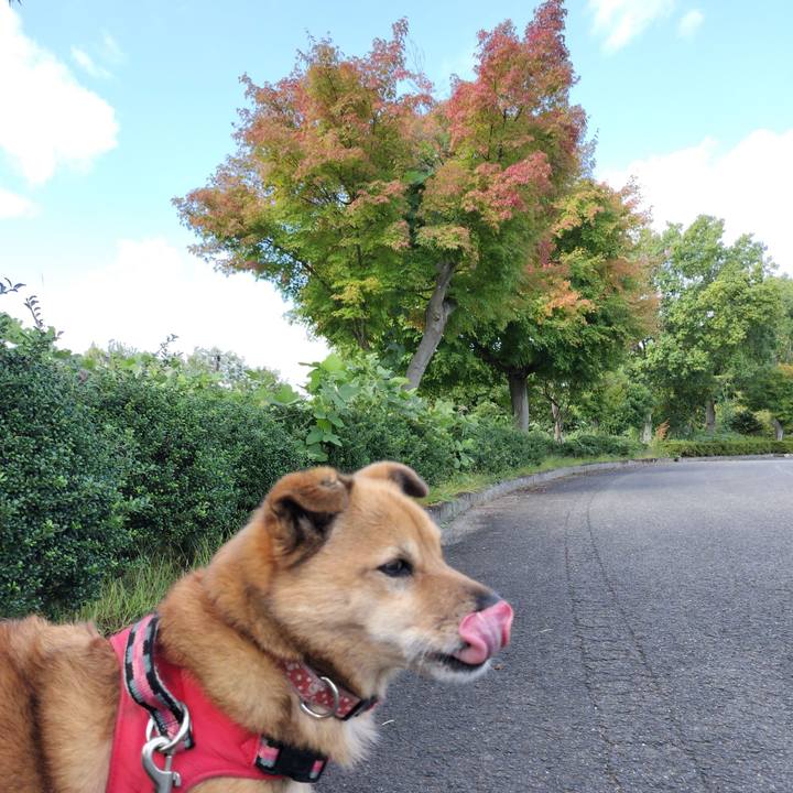 5723f41e 7430 475e 9320 ba91a2582d34 1728911996636