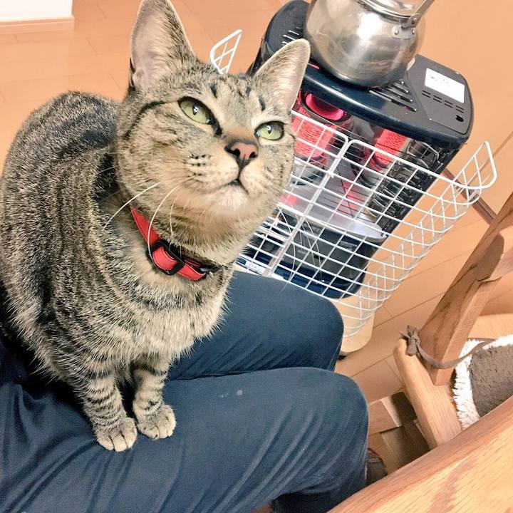 57240658 07da 419b b451 0136aeef45b8 1517974822656