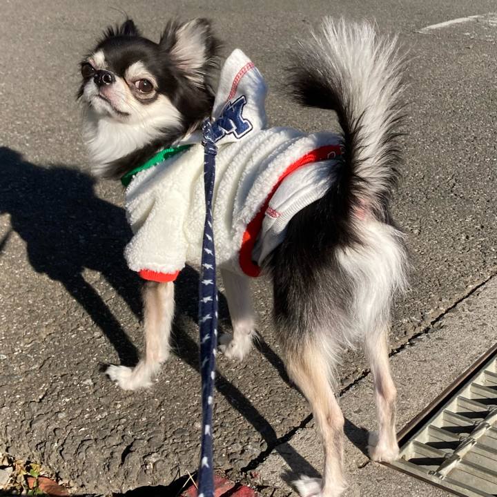 57243088 3f28 4ddf 8c66 99e6a145731b 1641616062045