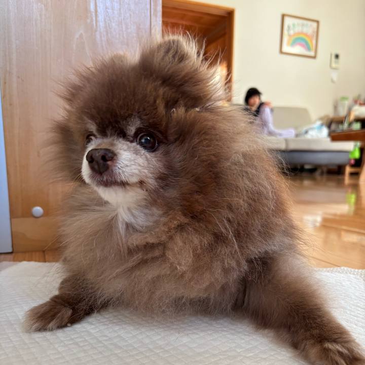 57248ef5 8219 4bc2 a953 c5fa0e33e319 1774995766658