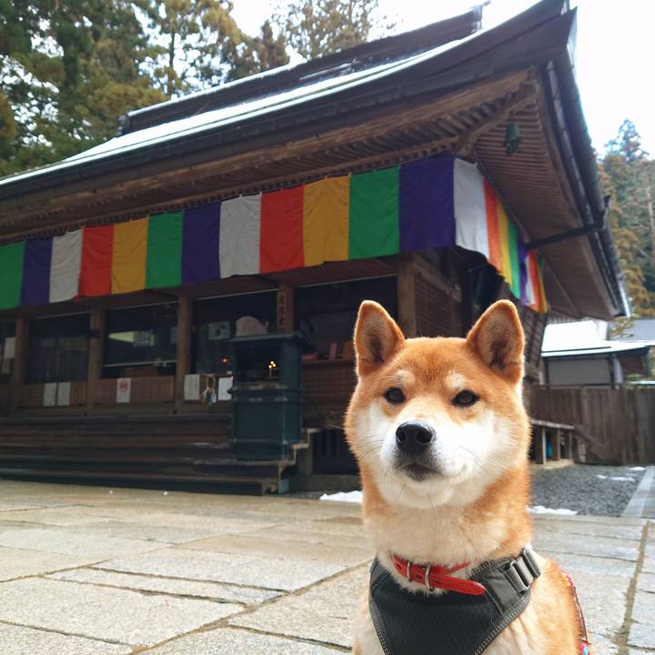 5724ac65 3694 42e6 9d2e b108fd4fcfcf 1767078314167