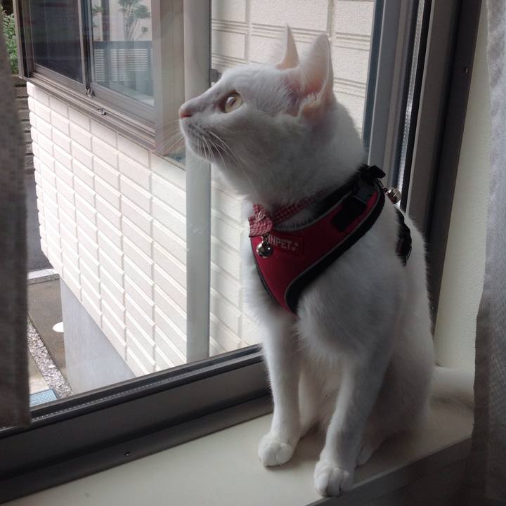 5724ae49 2592 4607 a2ad b8f8ce3a9a7e 1635407756784