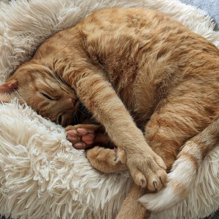 5724bf49 fe65 4b3d 966f 7de0d881af99 1676096446034