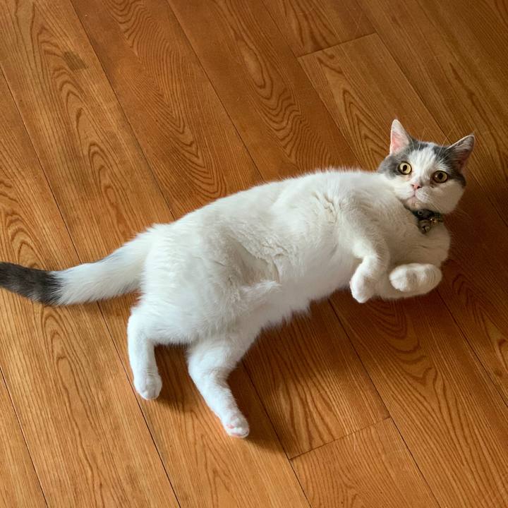 5724e5ae 4619 45b8 80b5 bfc8ab5983b8 1687651978556