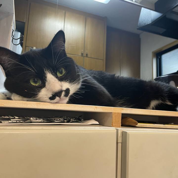 57252ba6 0a91 43bc 8cb2 2d098d05eb64 1683783485757