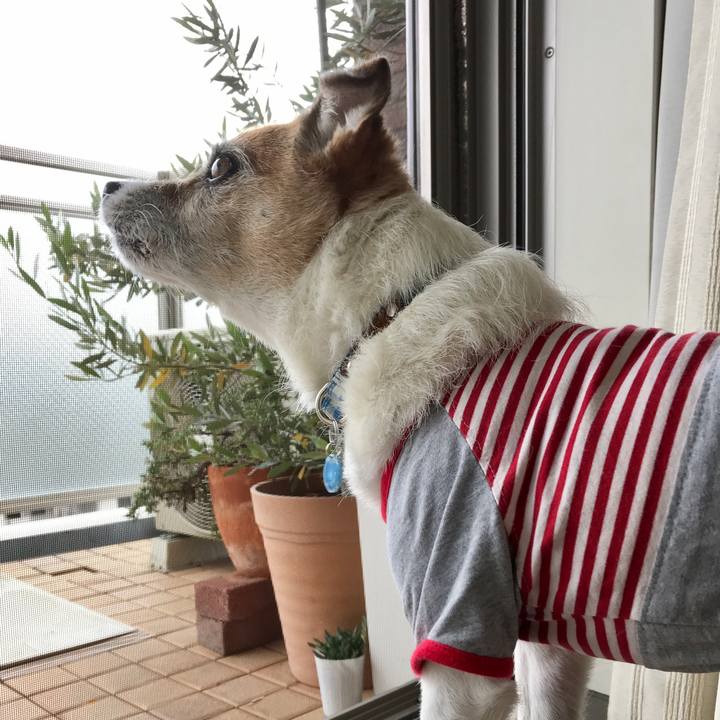 572530b2 213f 4a53 bff5 8ce7a4584e61 1592021731223