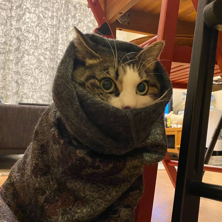 57259285 7125 4413 a69c ffa5fc7f83b8 1634514718913