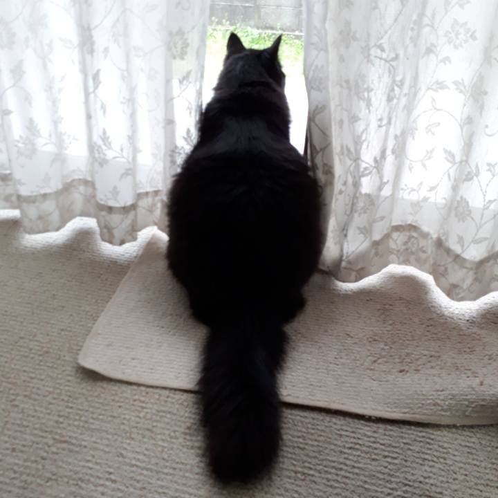 5725a0a7 5f2f 4f31 b8c1 72703239d14d 1522796303480