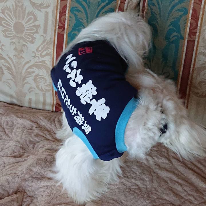 57261620 b479 4536 b015 0e761564a625 1571671349750