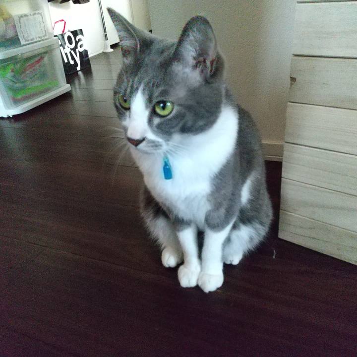 572689e4 66e5 404e b32e 4a7f8ab6adbe 1618524174107