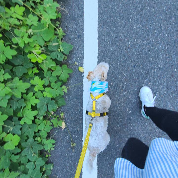 5726a001 9639 4a77 ad6b f40a906ea01a 1661675805551