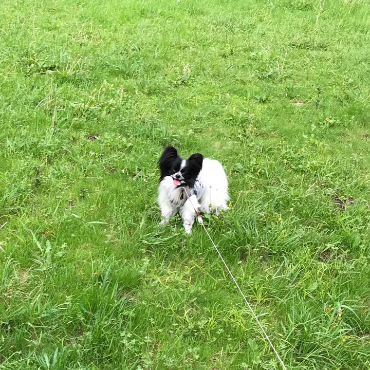 5726c2db caad 4c60 b250 2933aac2dcef 1525352234617