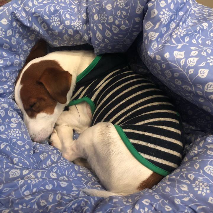 5726e086 3e7b 46e1 90dd 4c7cbbbda7df 1611390633541