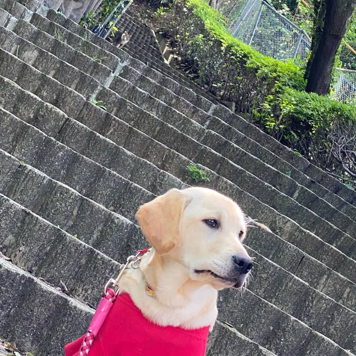 57270515 4a31 4cd0 b54e 2bc23a7a2f16 1619095511295