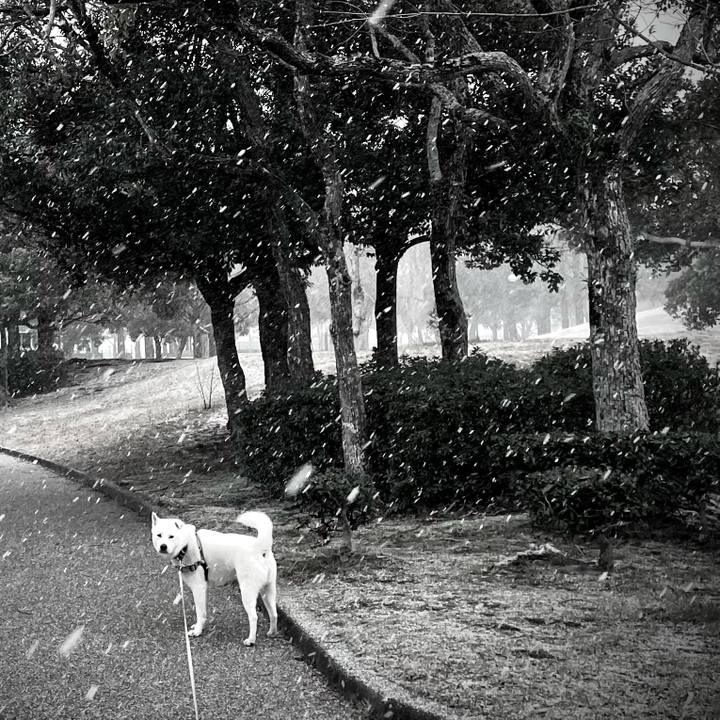 57270595 6f23 44a3 abde 8c47efbbb10a 1738751761404