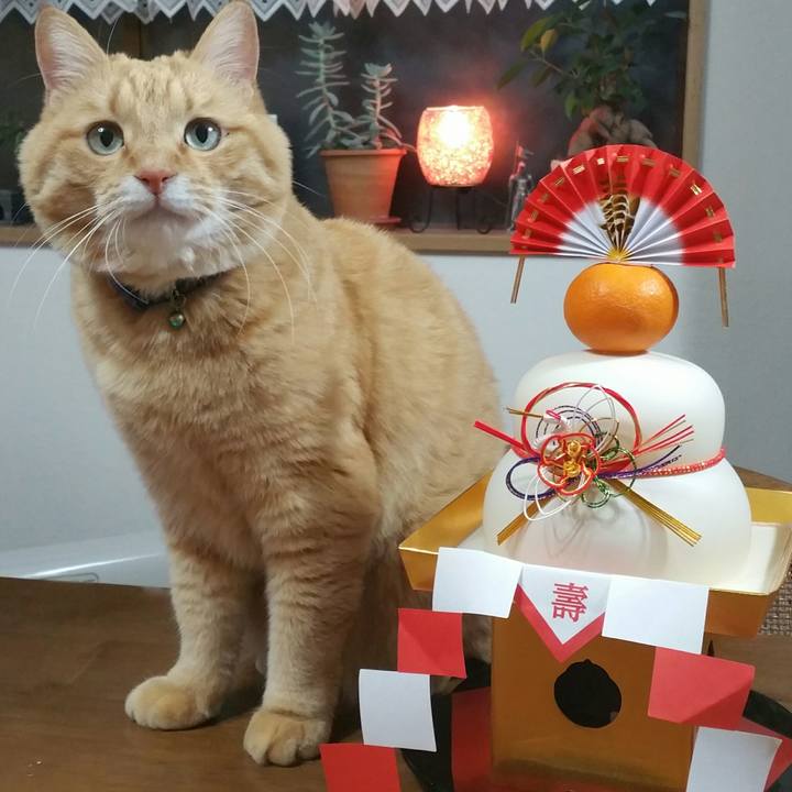 57273e2a b746 4e32 827b 5b6e66d9cdd6 1546425145475