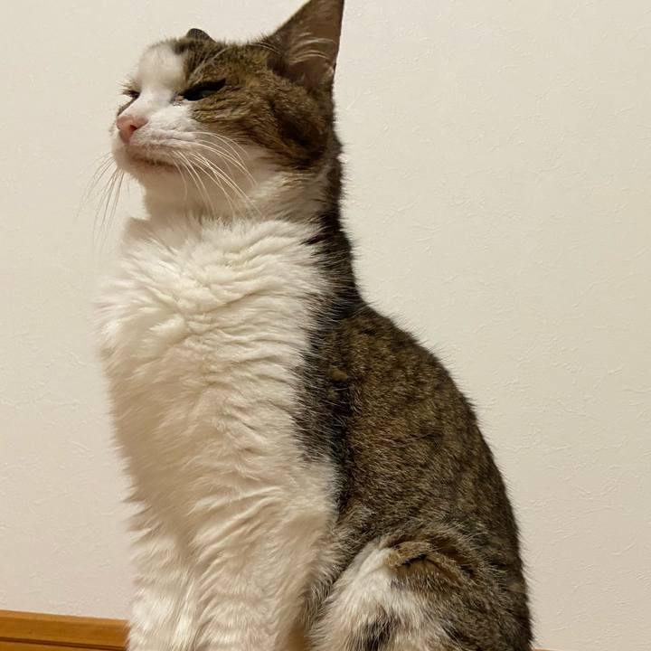 57274f62 e93b 4c19 b775 75615b6a967a 1597749413549