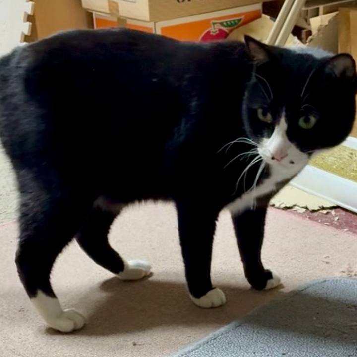 57276cde 5369 4180 adae fa07168197d8 1771246374211