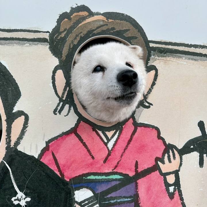 57279769 21f0 4531 8697 1e7d33a73383 1763851600303