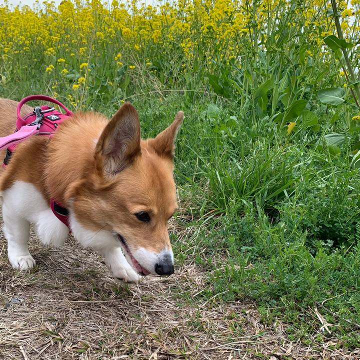 57279e3e 30bc 4bc6 b17a 66737cefa55e 1711593778879