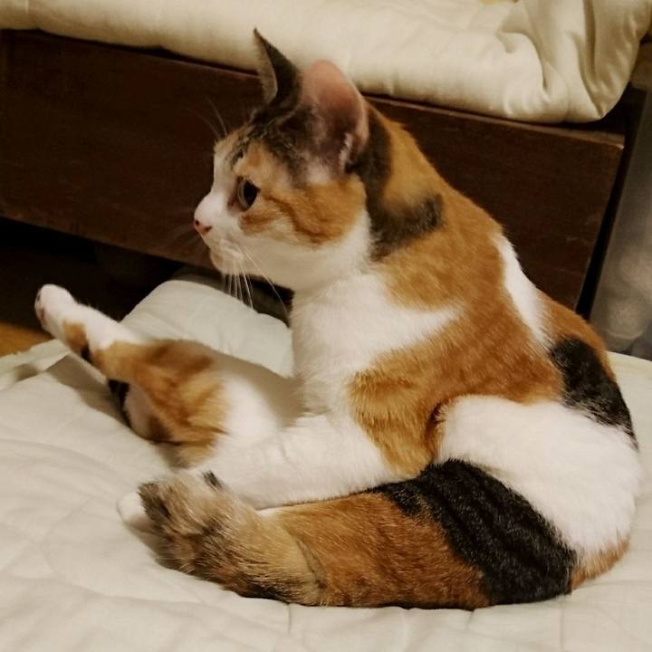 5727b348 602c 4b22 abb2 1a0a5b9e45b4 1515844617804