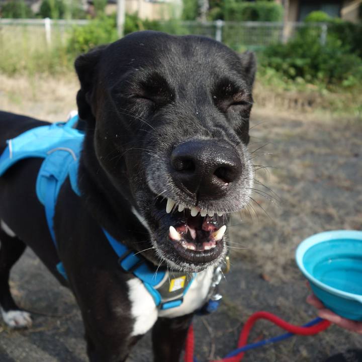 5727ce8a 5c03 45a2 ade0 43f68076e877 1631752525135